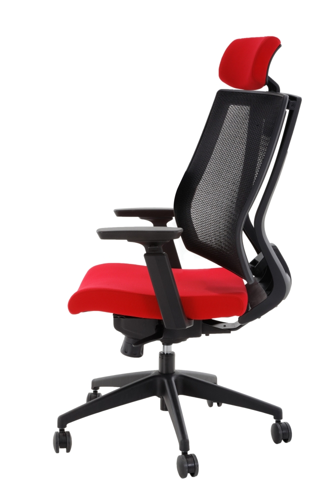 Flex Mesh Çok Fonksiyonlu Koltuk